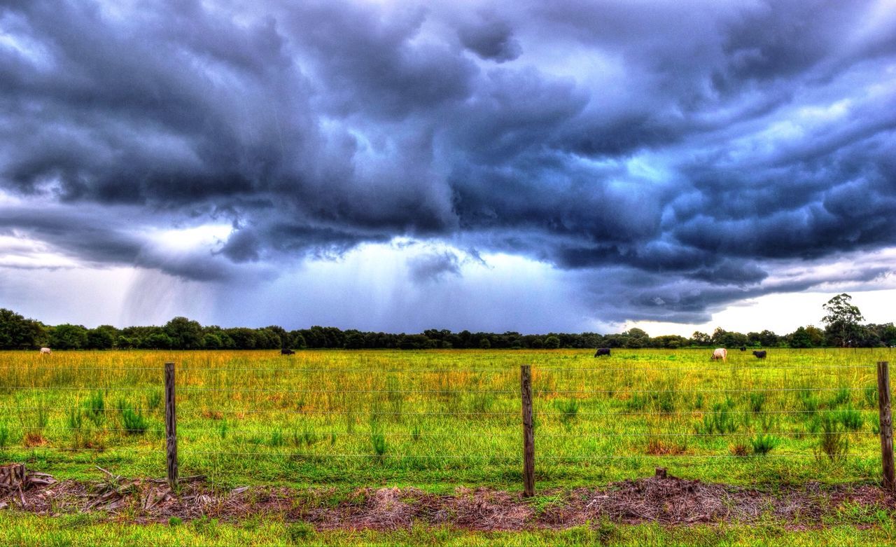 sky, cloud - sky, cloudy, field, landscape, tranquil scene, grass, storm cloud, tranquility, weather, scenics, overcast, beauty in nature, cloud, nature, rural scene, dramatic sky, grassy, cloudscape, fence