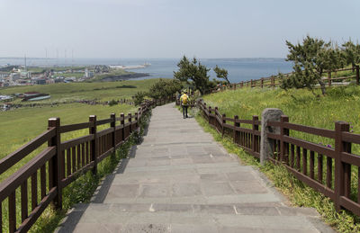 Rear view of man walking on steps at seongsan ilchulbong