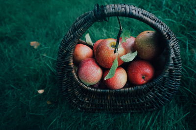 Close-up of apples in basket on field