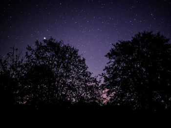 Low angle view of silhouette trees against sky at night