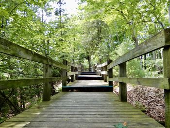 Footbridge amidst trees in forest