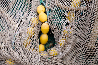 High angle view of fruits in basket