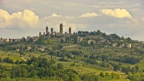 Panoramic view of trees and buildings against sky