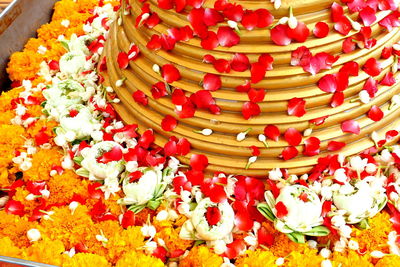 High angle view of red roses on plant