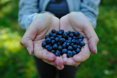 Close-up of hand holding berries