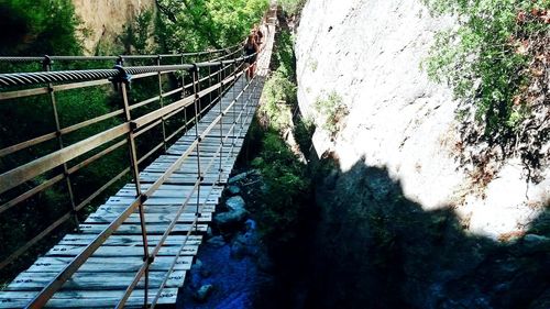 View of trees and bridge