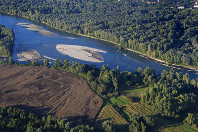 High angle view of trees on landscape