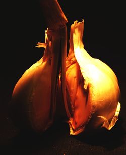 Close-up of pumpkin against black background