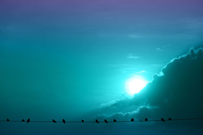 Low angle view of silhouette birds against blue sky