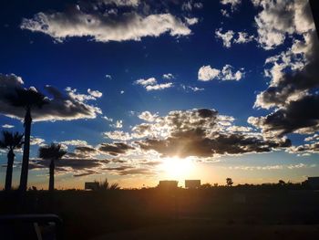 Silhouette trees against sky during sunset