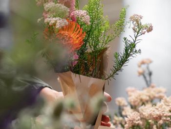 Cropped hand of woman holding plant