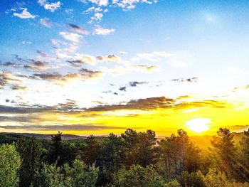 Scenic view of field against sky during sunset
