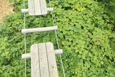 Empty bench in park