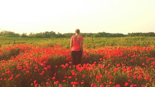 Rear view of woman standing on field