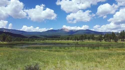 Scenic view of field and mountains against sky