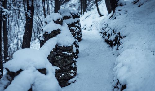 Snow covered hiking trail in forest