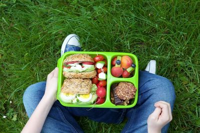 Low section of person with lunch box sitting on grassy field