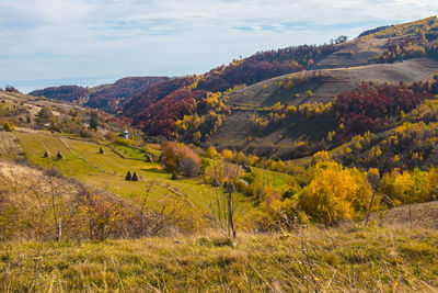 Scenic view of field against sky during autumn