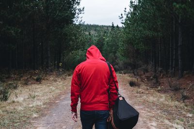 Rear view of woman standing in forest