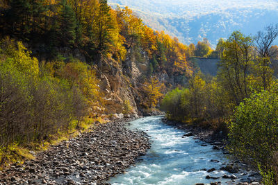 Beautiful mountain gorge with a river in the chechnya mountains in autumn