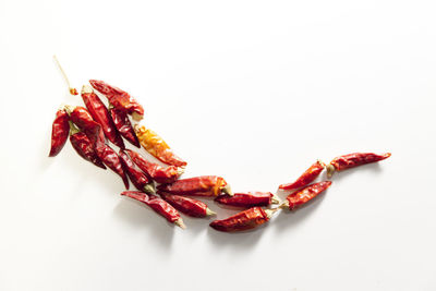 High angle view of chili pepper against white background