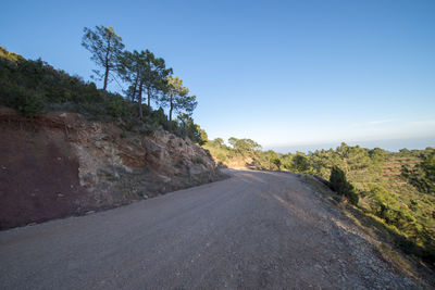 Road amidst trees against sky