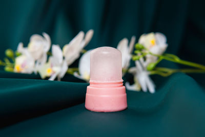 Close-up of pink flower on table