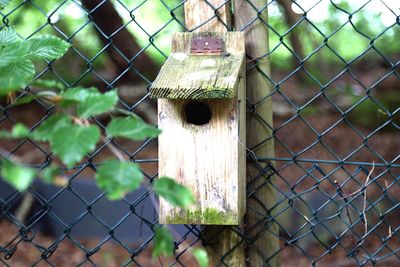 Close-up of chainlink fence