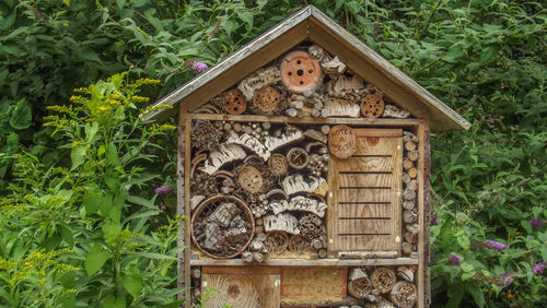 Wooden bee house against plants