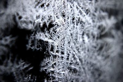 Full frame shot of spider web