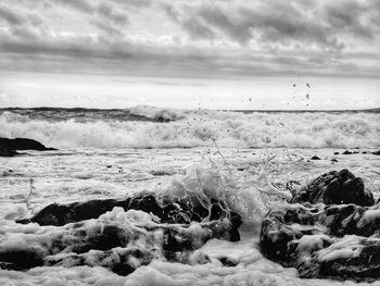 Scenic view of sea shore against sky