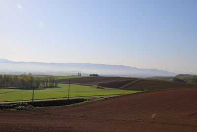 Scenic view of agricultural field against sky