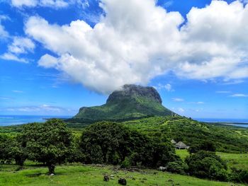 Scenic view of field and mountain  against sky