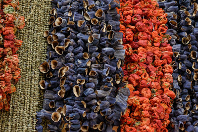 Full frame shot of multi colored dried herbs for sale in market