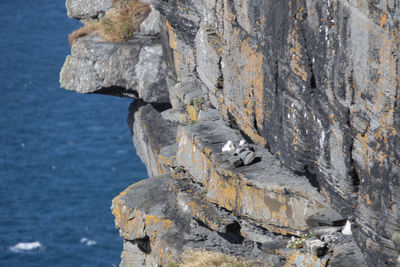 Close-up of cliff by sea against sky