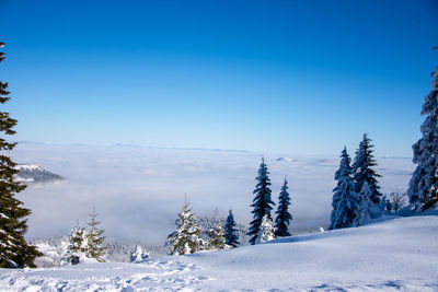 Scenic view of snow covered mountains against blue sky