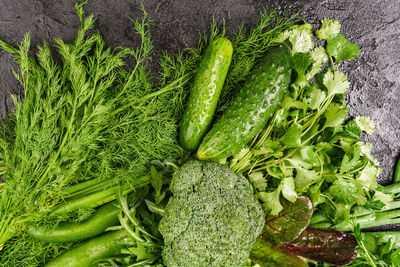 High angle view of vegetables