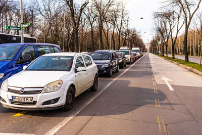 Vehicles on road along bare trees