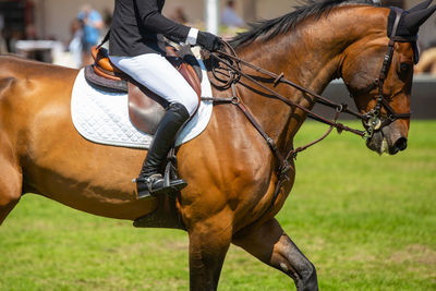 Horse riding horses on field