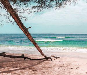 Driftwood on beach by sea against sky