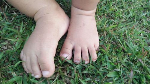 Baby feet in grass