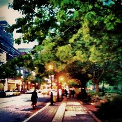 People walking on road in city