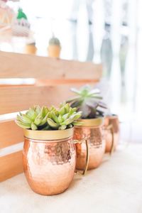 Close-up of potted plant on table