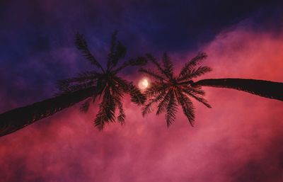 Low angle view of fireworks against sky at night