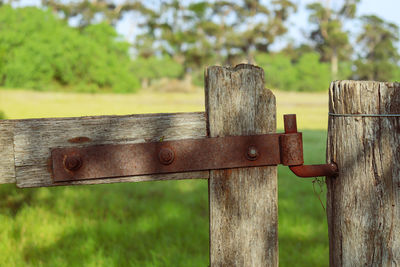 Old wooden farm gate with rusty hinge