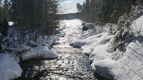 Surface level of frozen river stream