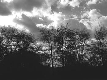 Low angle view of trees against cloudy sky