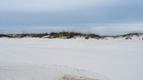 Scenic view of beach against sky during winter