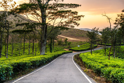 Empty road amidst trees against sky