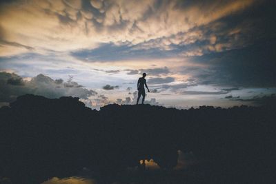 Silhouette of trees at sunset